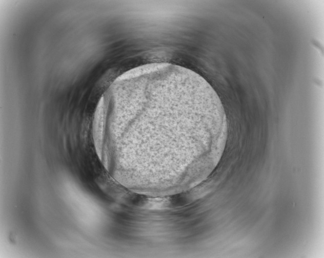 X0000098160240200805081110