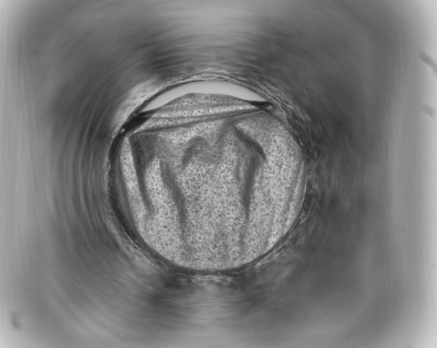 X0000098160242200805081110