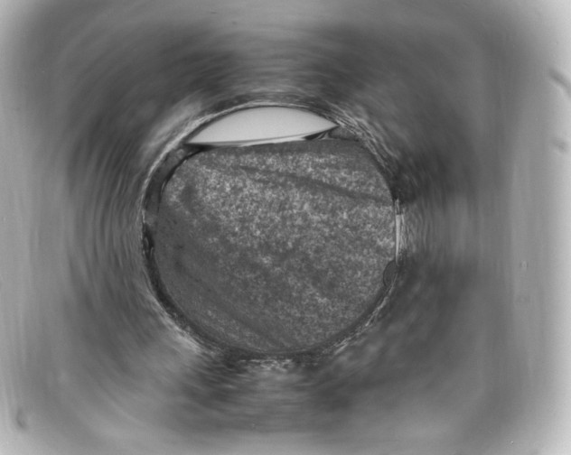 X0000098160243200805081110
