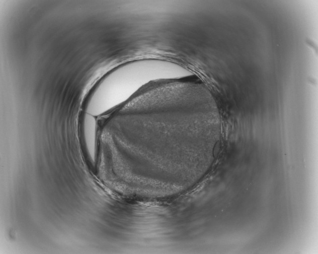X0000098160244200805081110