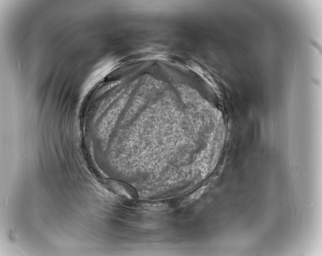 X0000098160245200805081110
