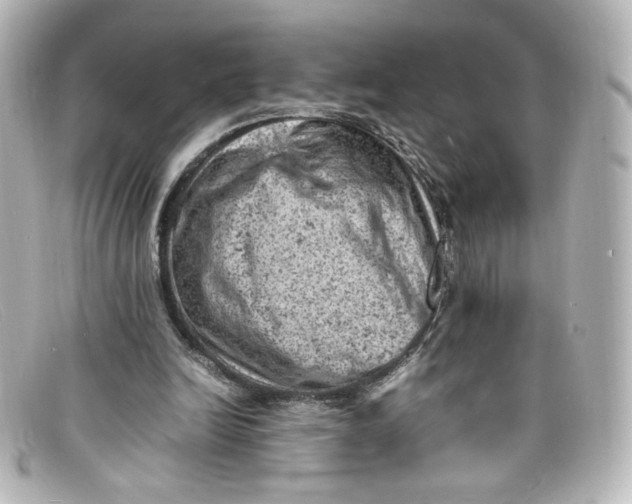 X0000098160246200805081110