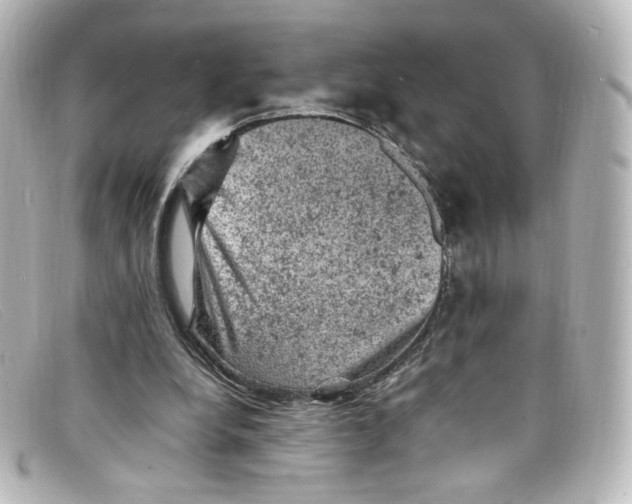 X0000098160248200805081110
