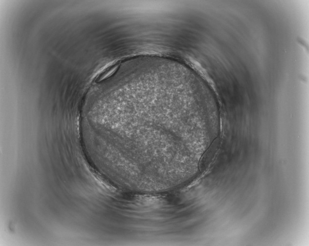 X0000098160249200805081110