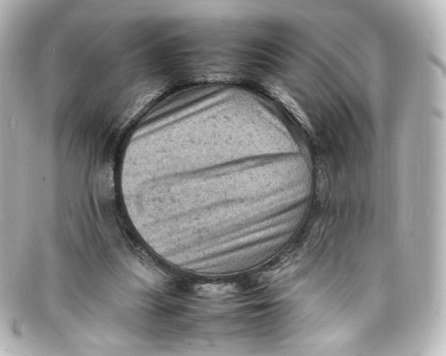 X0000098160251200805081110