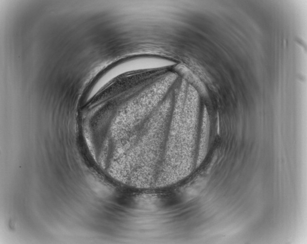 X0000098160252200805081110