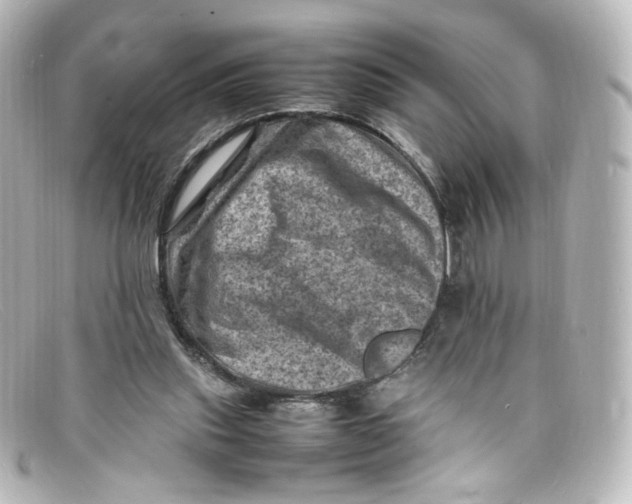 X0000098160253200805081110