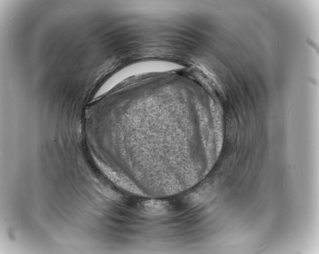 X0000098160261200805081110