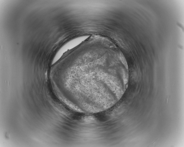 X0000098160262200805081110