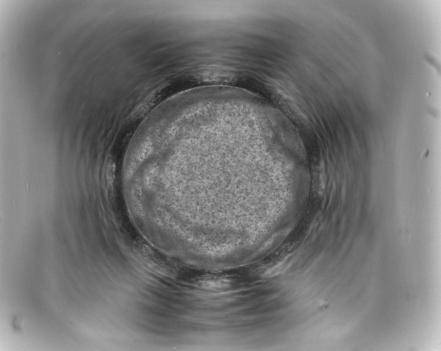 X0000098160263200805081110
