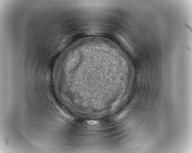 X0000098160265200805081110