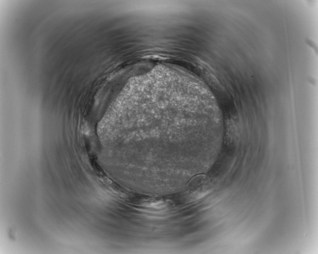 X0000098160267200805081110