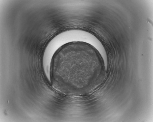 X0000098160268200805081110