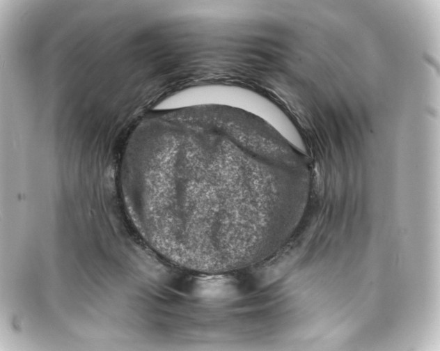 X0000098160269200805081110