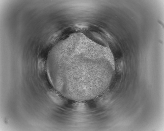 X0000098160276200805081110