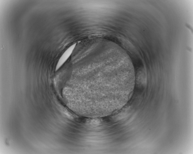 X0000098160282200805081110