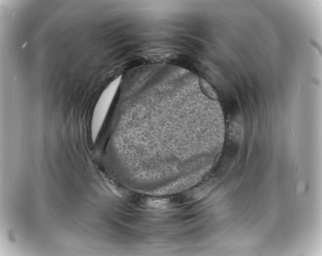 X0000098160283200805081110