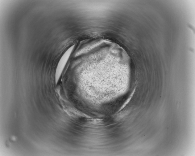 X0000098160288200805081110