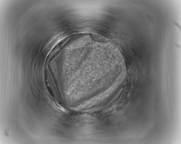 X0000098160290200805081110