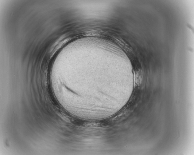 X0000098160291200805081110