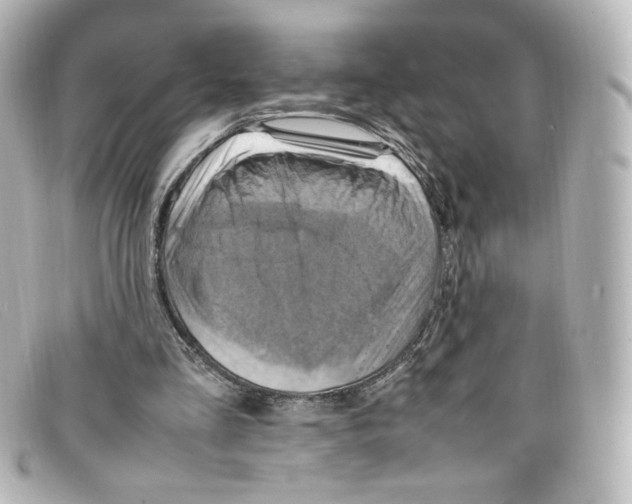 X0000098160293200805081110