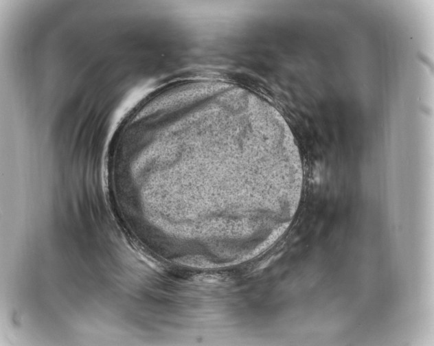 X0000098160294200805081109