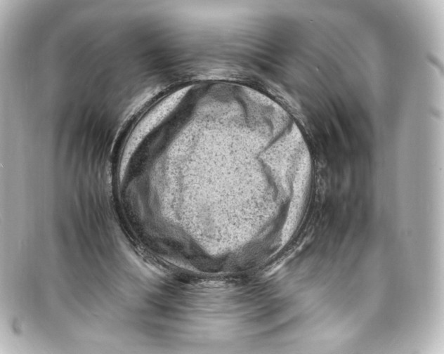 X0000098160298200805081109