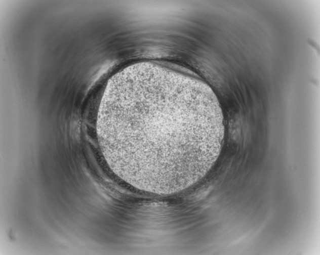 X0000098160304200805081109
