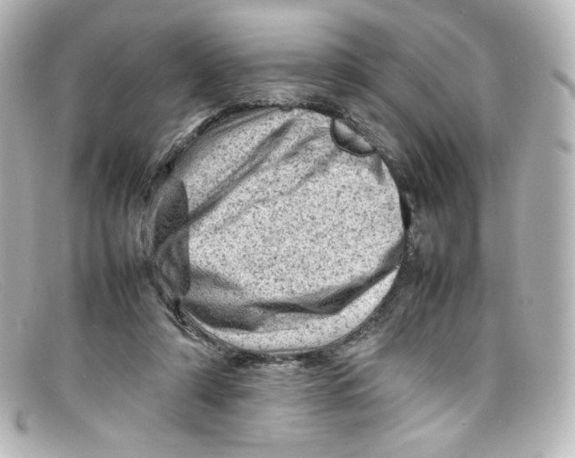 X0000098160306200805081109