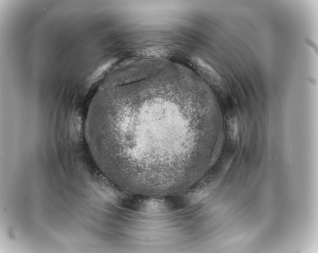 X0000098160308200805081109
