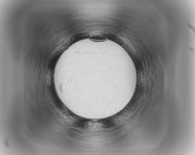 X0000098160311200805081109