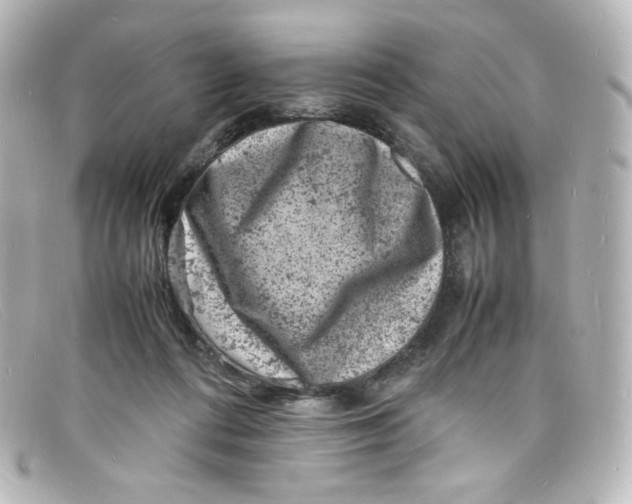 X0000098160312200805081109