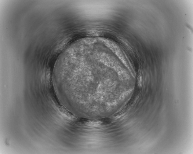 X0000098160314200805081109
