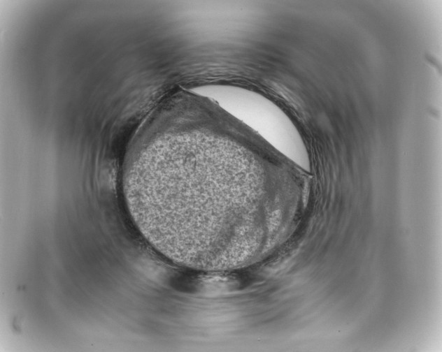X0000098160315200805081109