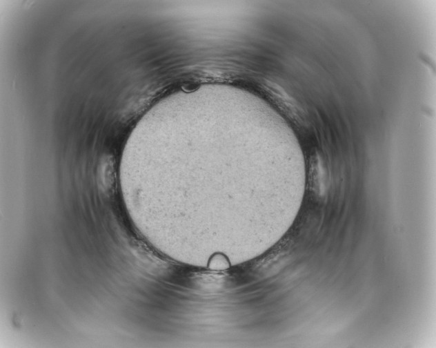 X0000098160318200805081109