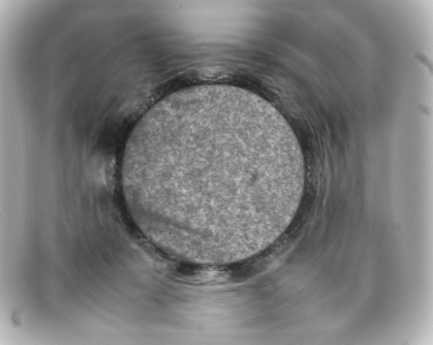 X0000098160319200805081109