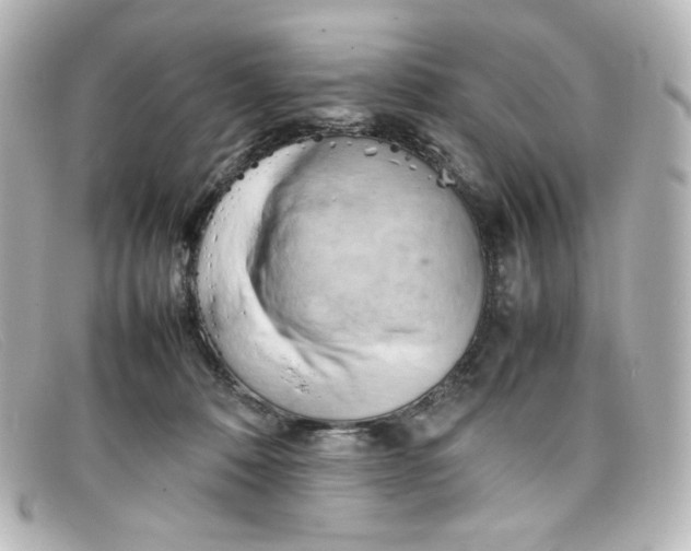 X0000098160320200805081109