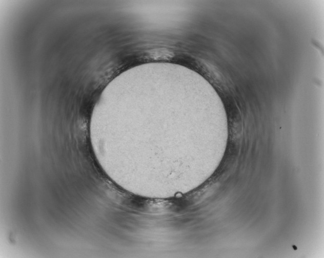 X0000098160321200805081109