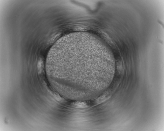 X0000098160322200805081109