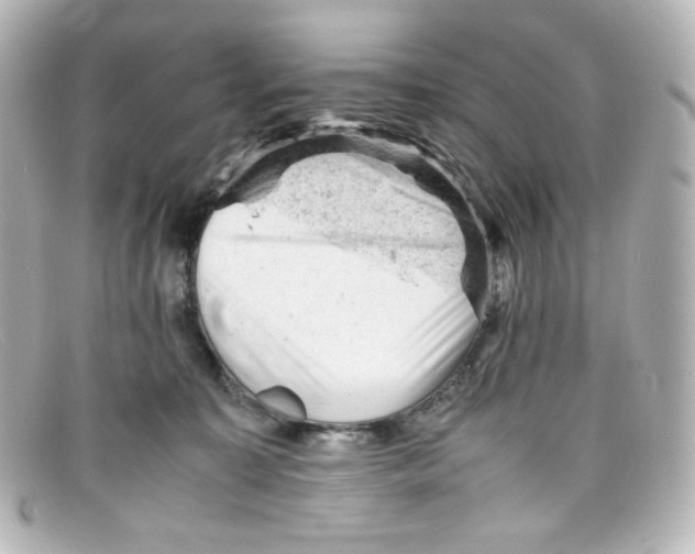 X0000098160323200805081109