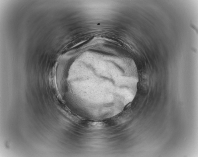 X0000098160324200805081109