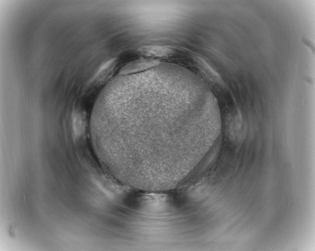 X0000098160328200805081109