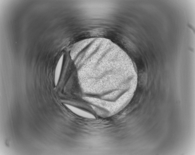 X0000098160329200805081109