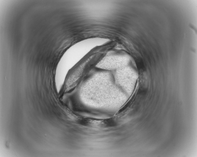 X0000098160333200805081109
