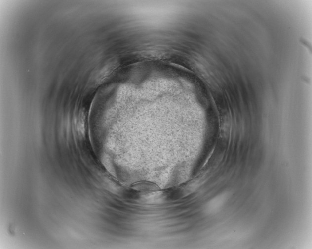X0000098160334200805081109