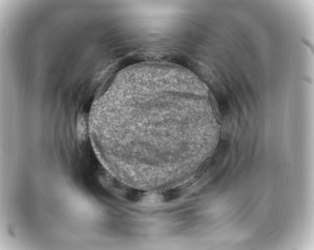 X0000098160335200805081109