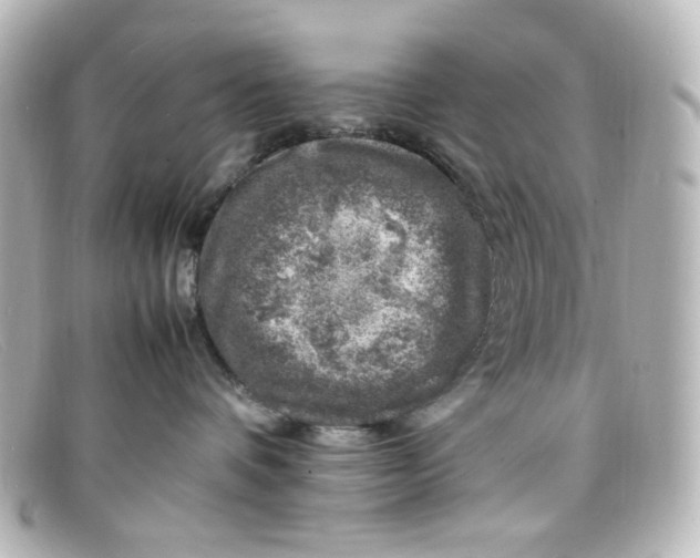 X0000098160336200805081109
