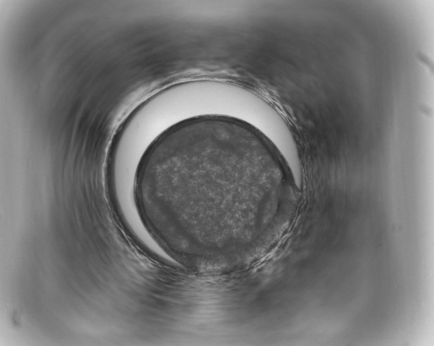 X0000098160340200805081108