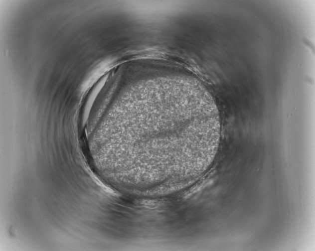 X0000098160341200805081108