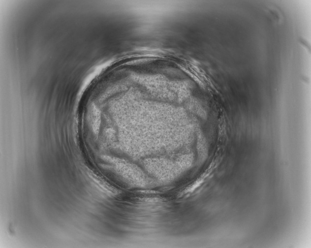 X0000098160342200805081108